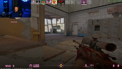 crashout auf katze