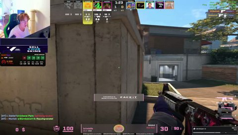 ace - Zester