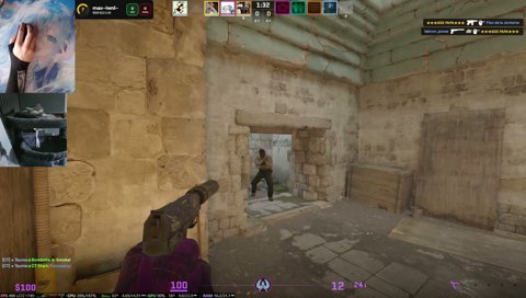 +catcam and chill | !discord - WhoIsMaximaus